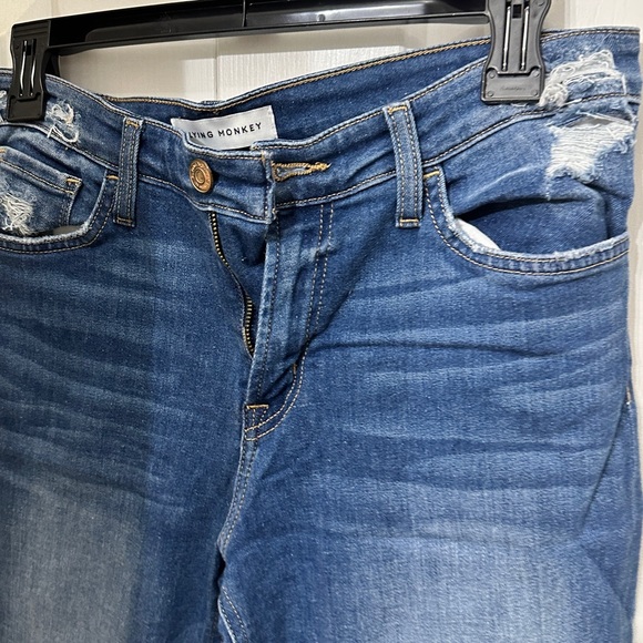 Flying Monkey | Skinny jeans - Picture 2 of 6